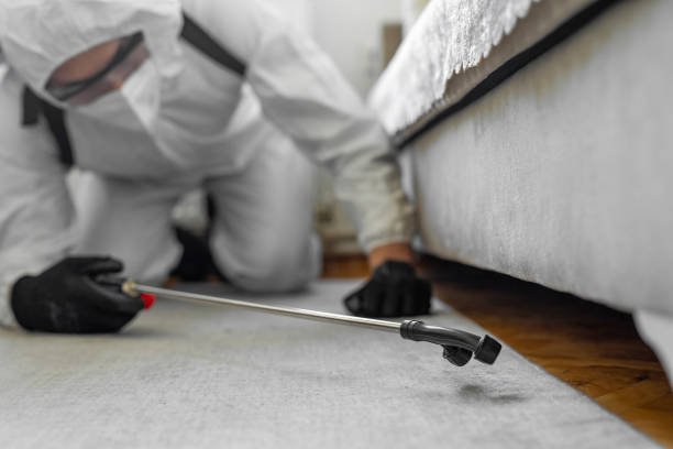 Professional Termite Control technician working in Clawson, MI