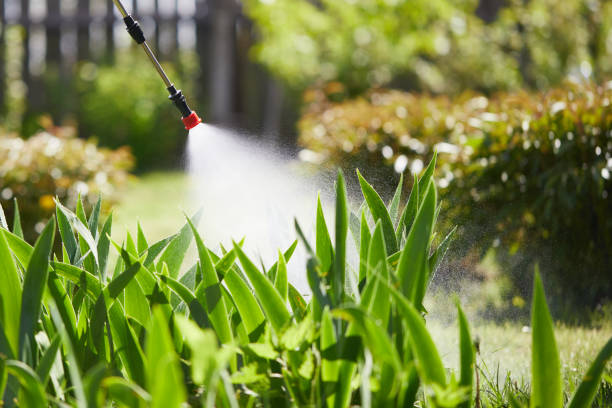 24/7 Emergency Termite Control experts in Clawson, MI