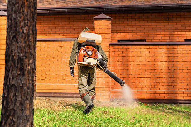 Top rated local Termite Control specialists in Clawson, MI